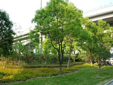 工程案例展示